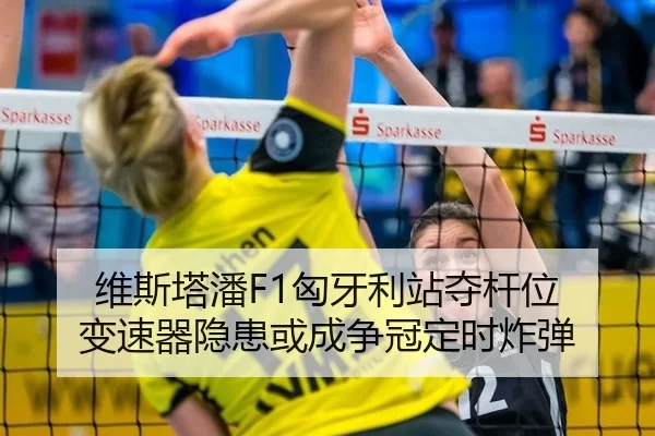 wei-si-ta-pan-xiong-ya-li-zhan-duo-gan-wei-bian-su-qi-yin-huan-huo-cheng-zheng-guan-ding-shi-zha-dan-2-828.jpg